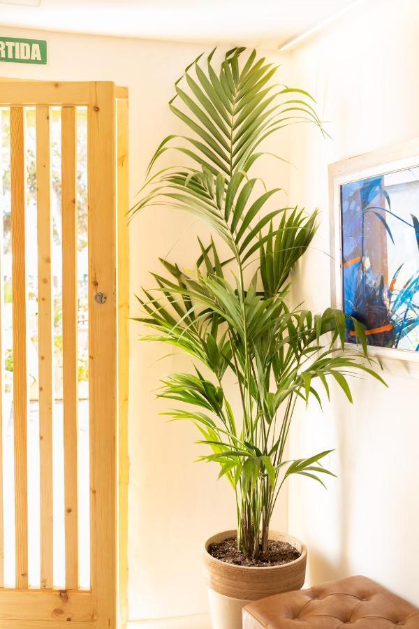 Sitges Beach Hostal Dış mekan fotoğraf